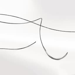 Supramid-Non-absorbable suture
